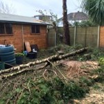 10322663_1561570204162869_8069107572299507201_n