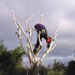 10926361_1390409341278957_3194848422731655464_n