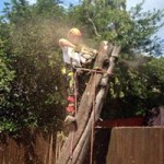 11081410_1391975107789047_8167512401939388257_n