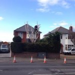 11081412_1390409291278962_5918377026518498260_n