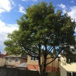 12002991_1491690584484165_6785848962350354069_n