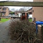 12310457_1524220594564497_403145432228361141_n