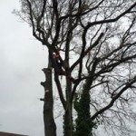 12347700_1524220564564500_6384063049345415793_n