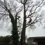 12366261_1524220501231173_8168597273985949425_n