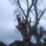 12642561_1549379945381895_5724759284011710705_n