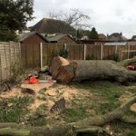 12670572_1551607038492519_3279687495060917573_n