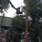 12813909_1568098153510074_8571522924199543470_n