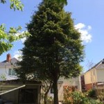 13238943_1613170109002878_3693680864680201142_n