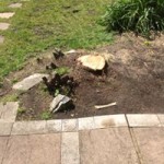 13267959_1613170155669540_43605698637812615_n