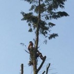 13321991_1614948488825040_6505436005943218234_n