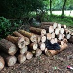 14368688_1674557452864143_7089154092704063582_n