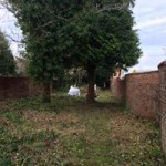 15589807_1725519727767915_1427470691841886067_n