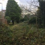 15590411_1725519097767978_1626439574096352176_n