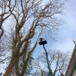 1622057_1568098276843395_6668943115352029917_n