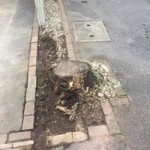 17426141_1779067422413145_6546146333042670313_n