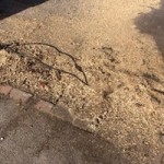 17522995_1779067715746449_1539374692351601939_n