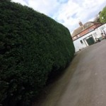 18198252_1796915253961695_3738030793223103421_n