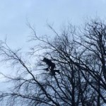 27332143_1936850076634878_5559602898565826687_n