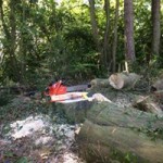 32169841_1991643967822155_7772201079726407680_n