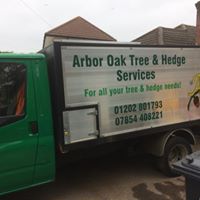 34469336_2005280566458495_6707810413142081536_n